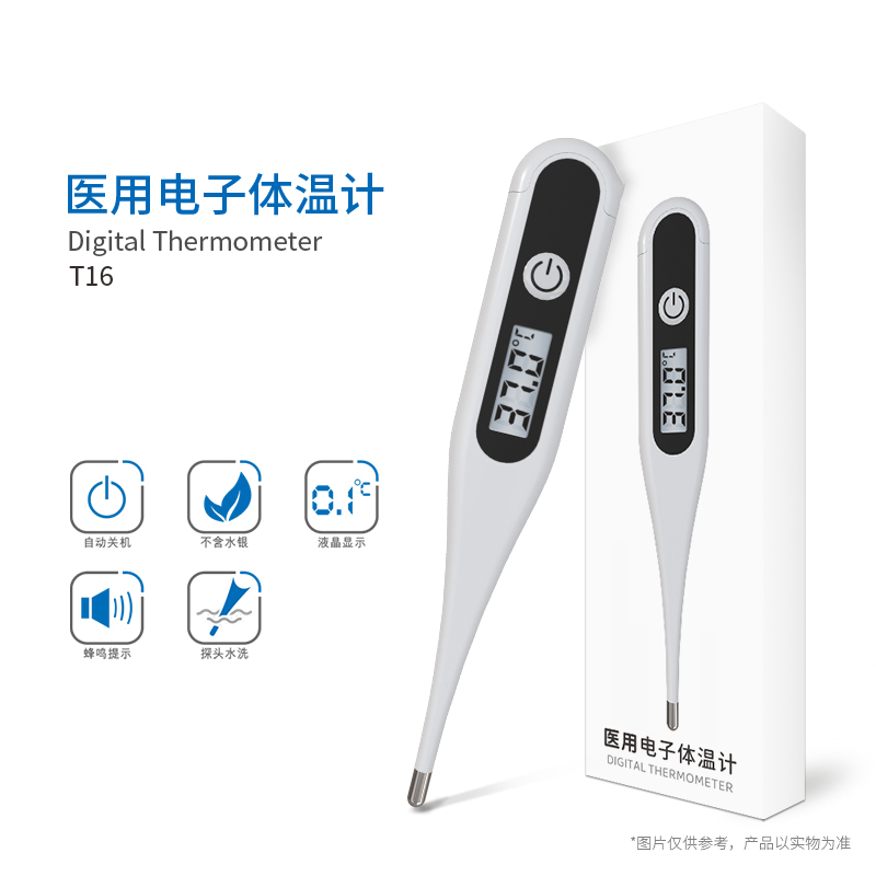 硬頭體溫計(jì)T16