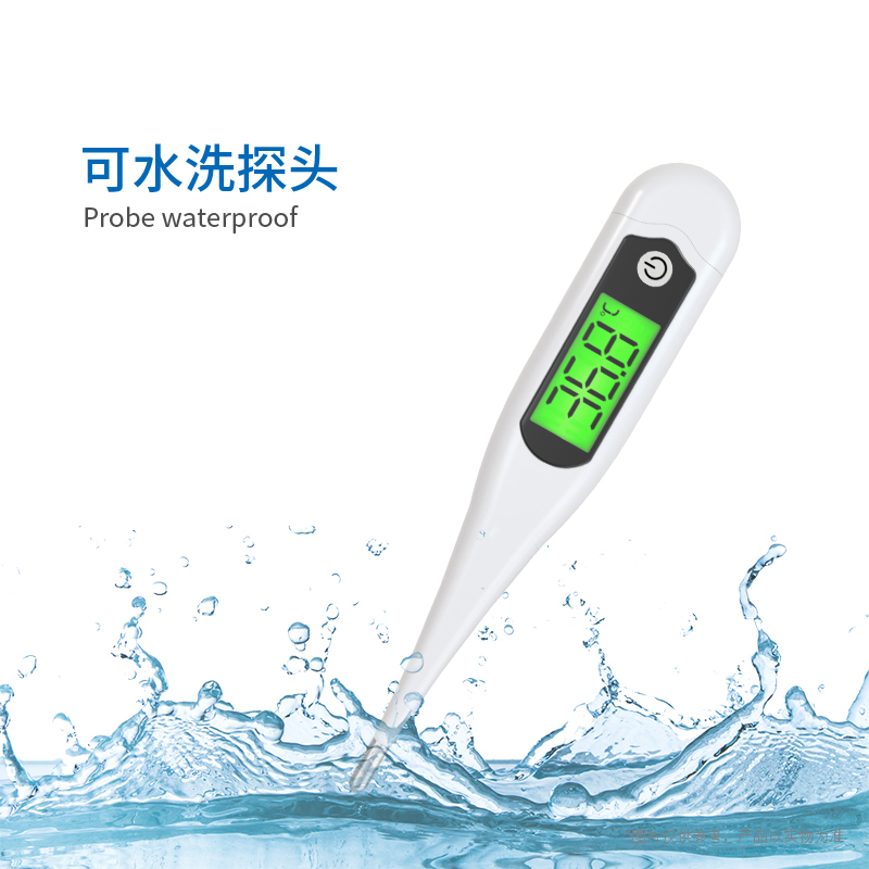 硬頭體溫計(jì)T19D